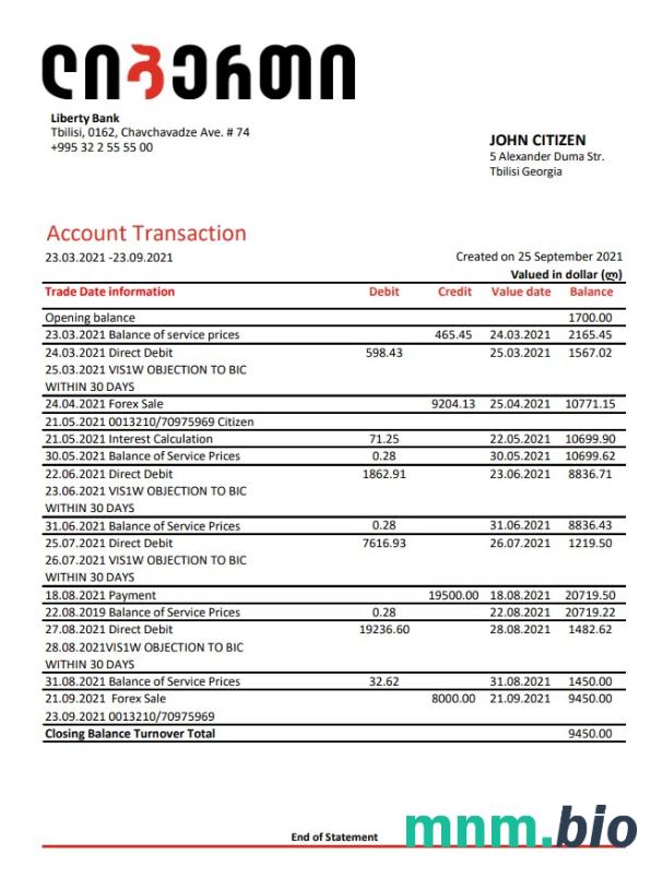 Georgia Basis wzór wyciągu bankowego w formacie Word i PDF